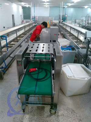 50Hz 3P Fish Skin Cleaning Machine Anti Corrosion 300-400KG/H