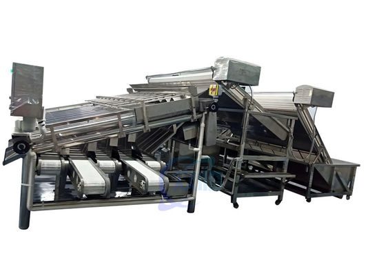 4900W Shrimp Grading Machine Roller Control Anti Erosion Automatic