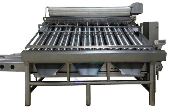 Practical Roller Fish Grader Machine , Multi Function Shrimp Sorter