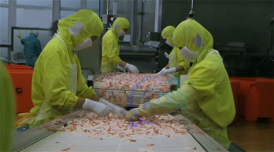 Industrial Shrimp Cooking Machine Durable 3.7KW For Processing