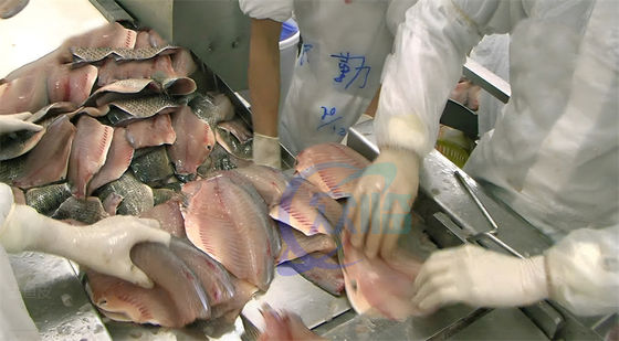 Practical Multiscene Fish Skin Peeler , Industrial Tilapia Skin Removing Machine