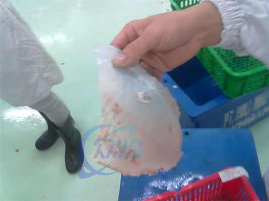 Practical Multiscene Fish Skin Peeler , Industrial Tilapia Skin Removing Machine