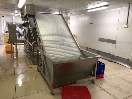 4.9KW SUS304 Shrimp Grading Machine Automatic For Fish Size Sorting