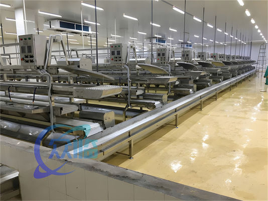 3.10KW Conveyor fish processing line Fish Descaling Production Line Catfish Skinne