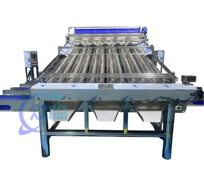 अच्छी कीमत 4900W SUS304 झींगा ग्रेडिंग मशीन, टिकाऊ झींगा धोने की छँटाई मशीन ऑनलाइन
