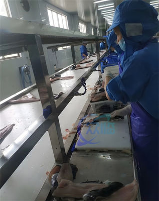 अच्छी कीमत पेशेवर स्टेनलेस स्टील 304 टिलापिया छीलने की मशीन 0.75KW टिलापिया छीलने की मशीन ऑनलाइन