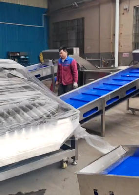 बड़ी क्षमता 5-10T/H स्वचालित मछली वर्गीकरण लाइन के लिए पेलैजिक मछली ग्रेडर