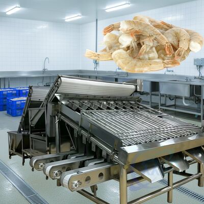 अच्छी कीमत समुद्री भोजन के लिए टिकाऊ रोलर झींगा ग्रेडिंग मशीन 1500kg-2000kg/H रोलर झींगा सॉर्टर उच्च स्थिर रोलर झींगा साइजिंग मशीन ऑनलाइन
