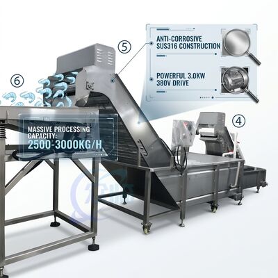 अच्छी कीमत Heavy Duty Shrimp Deheading Production Line Precision SUS316 1000-1500KG 11.7KW 415V ऑनलाइन