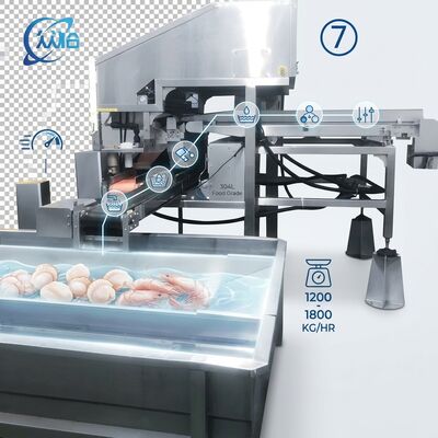 अच्छी कीमत High Output Shrimp Processing Machine Hygienic SUS304 500-800KG 0.8KW 220V For Seafood Export Company ऑनलाइन