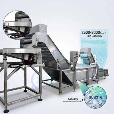 अच्छी कीमत Multiscene Shrimp Deheading Sorting Machine SUS304 Stainless Steel 1500-2000KG 3.0KW 380V ऑनलाइन
