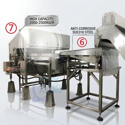 अच्छी कीमत Efficient Shrimp Deheading Production Line Precision SUS316 1500-2000KG 7.5KW 415V ऑनलाइन