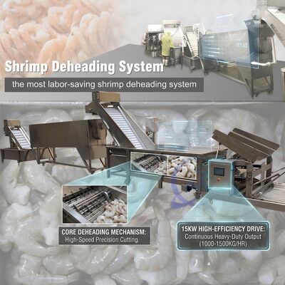 अच्छी कीमत Factory Direct Shrimp Head Removal System 316L Stainless Steel 800-1000KG 0.8KW 220V ऑनलाइन